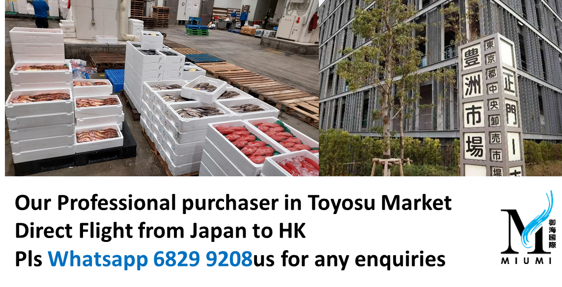 Japanese Air freight Seafood  